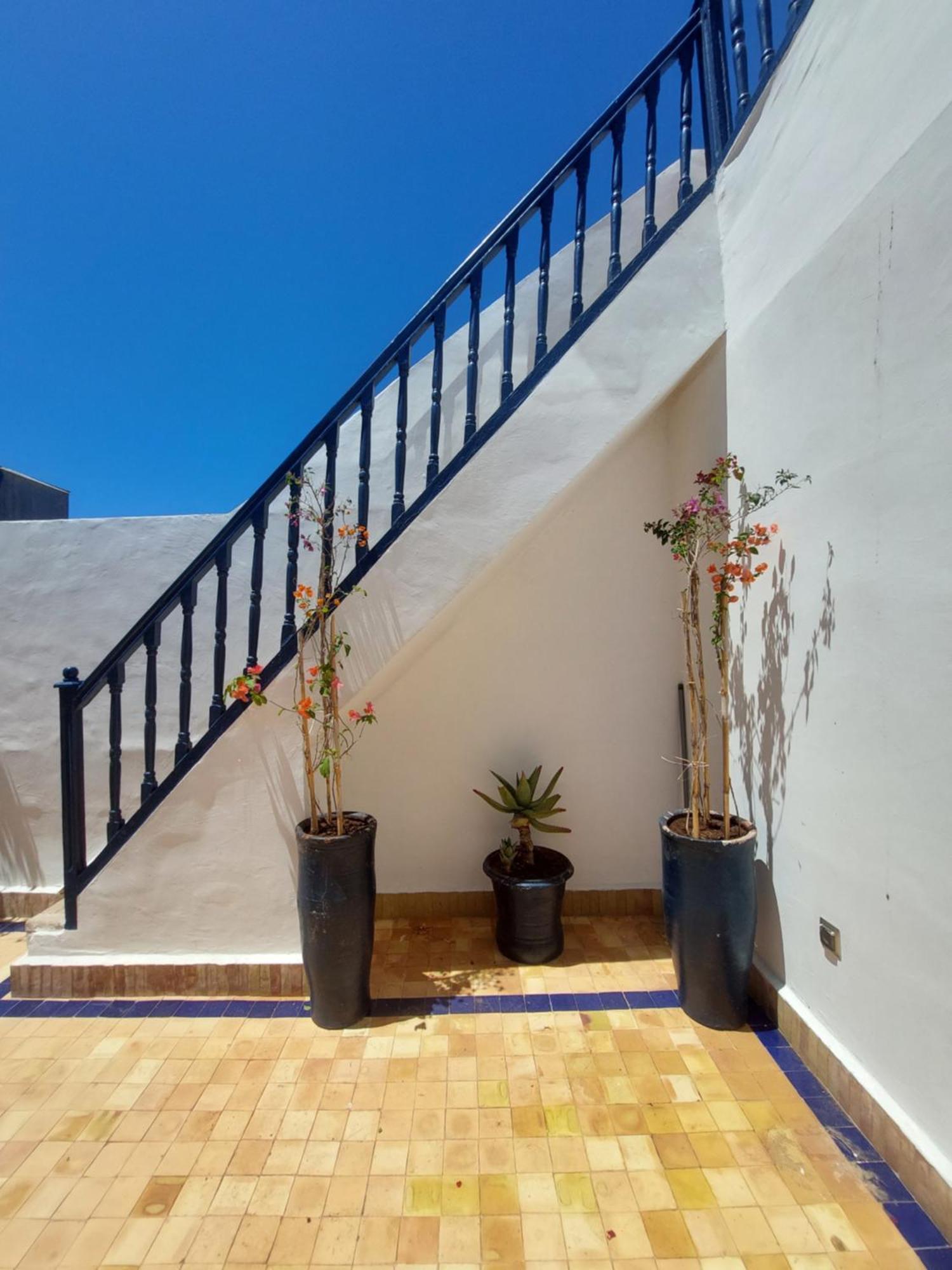 Riad Babette Essaouira Bagian luar foto